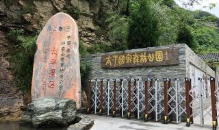 西安太平森林公园 西安太平森林公园