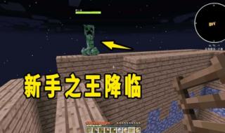 我的世界刷怪塔 我的世界刷怪塔