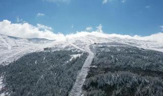 新疆阿勒泰下雪了 新疆阿勒泰下雪了