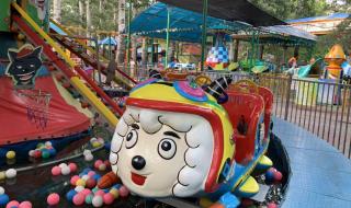 旋转木马央视版 旋转木马央视版