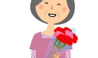 一束康乃馨图片