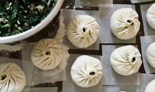 纸做的包子 纸做的包子