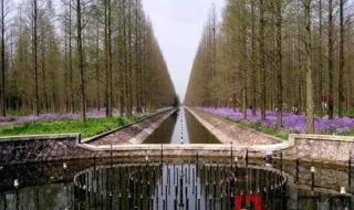 上海孙桥现代农业园 上海孙桥现代农业园