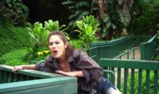 北京动物园百米巨蟒 北京动物园百米巨蟒