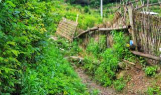 中国摄影家协会 中国摄影家协会