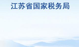 江苏国税电子税务局