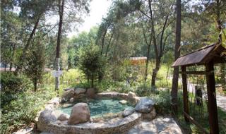 石家庄美食团购网