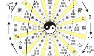 中医经络图 中医经络图