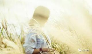 做你的观众 做你的观众