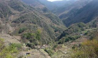 雅安宝兴县 雅安宝兴县