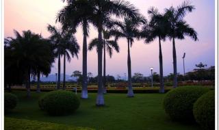 广东奥林匹克体育中心 广东奥林匹克体育中心