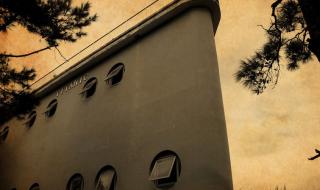 山鸣谷应打一生肖 山鸣谷应打一生肖