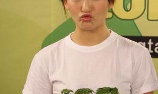 张杰谢娜快乐大本营