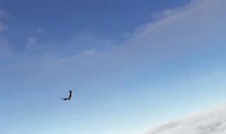 天涯明月刀大轻功