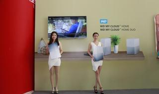 西部数据官方网站