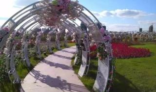 上海崇明新楼盘