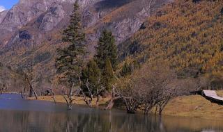 四川四姑娘山在哪里