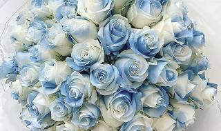 碎冰蓝适合送什么人 碎冰蓝适合送什么人