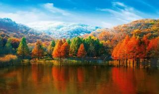 十一假期旅游攻略 十一假期旅游攻略