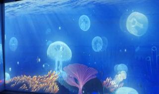 武汉海洋公园门票