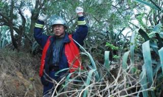 俄罗斯电影无名高地 俄罗斯电影无名高地